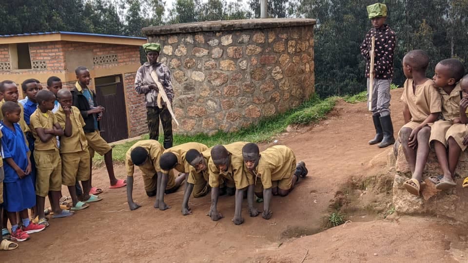 Chimpanzee in forest