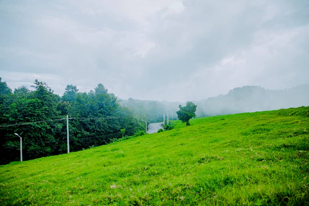 Gishwati Forest Landscape