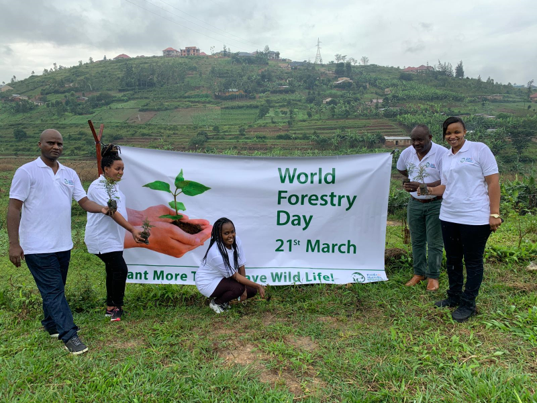 roots and shooots rwanda planting a tree