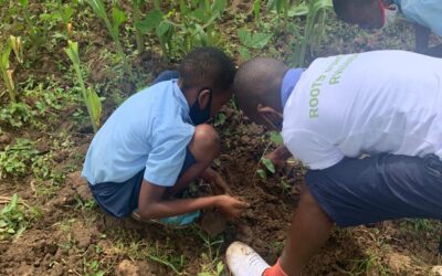 Restoring Wetland health