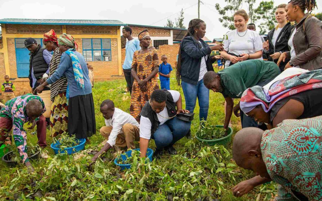 Root and Shoot Rwanda Launches Innovative Tree-Planting Campaign with Remote Monitoring Technology