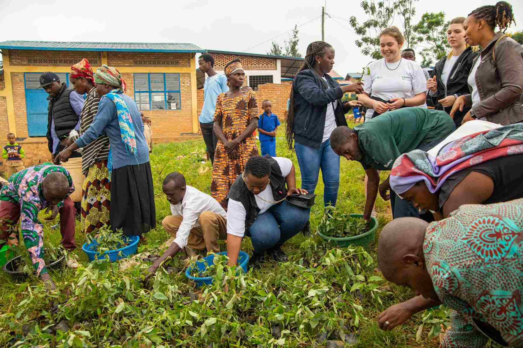 Root and Shoot Rwanda Launches Innovative Tree-Planting Campaign with Remote Monitoring Technology