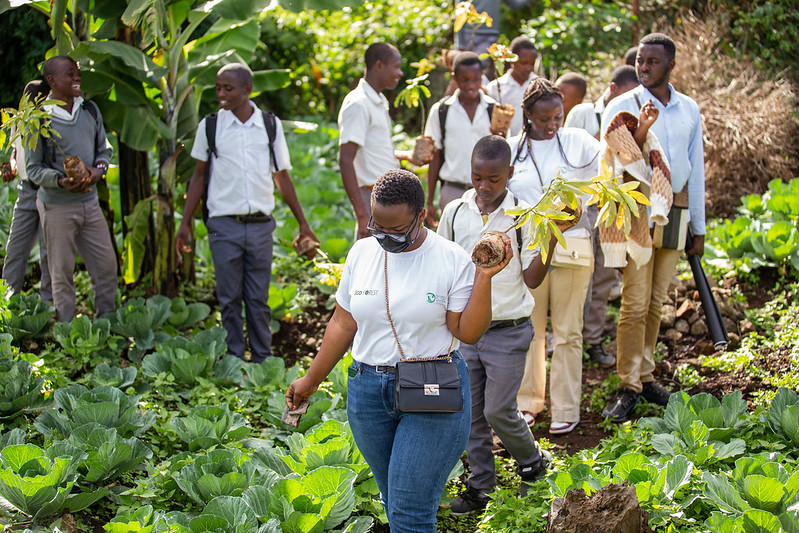 53588075542_a5764090cf_c roots and shooots rwanda planting a tree